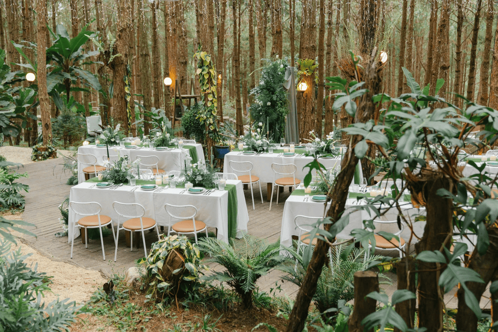 Mơ Farm & Bistro c&ograve;n l&agrave; nơi được nhiều du kh&aacute;ch lựa chọn để tổ chức nhiều đ&ecirc;m tiệc s&ocirc;i động (Nguồn: Fanpage Rừng Th&ocirc;ng Mơ Farm & Bistro)